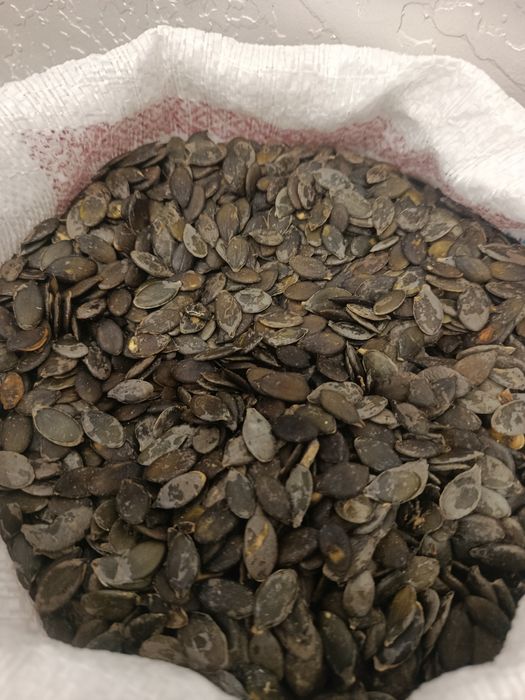 Гарбузове голонасіння