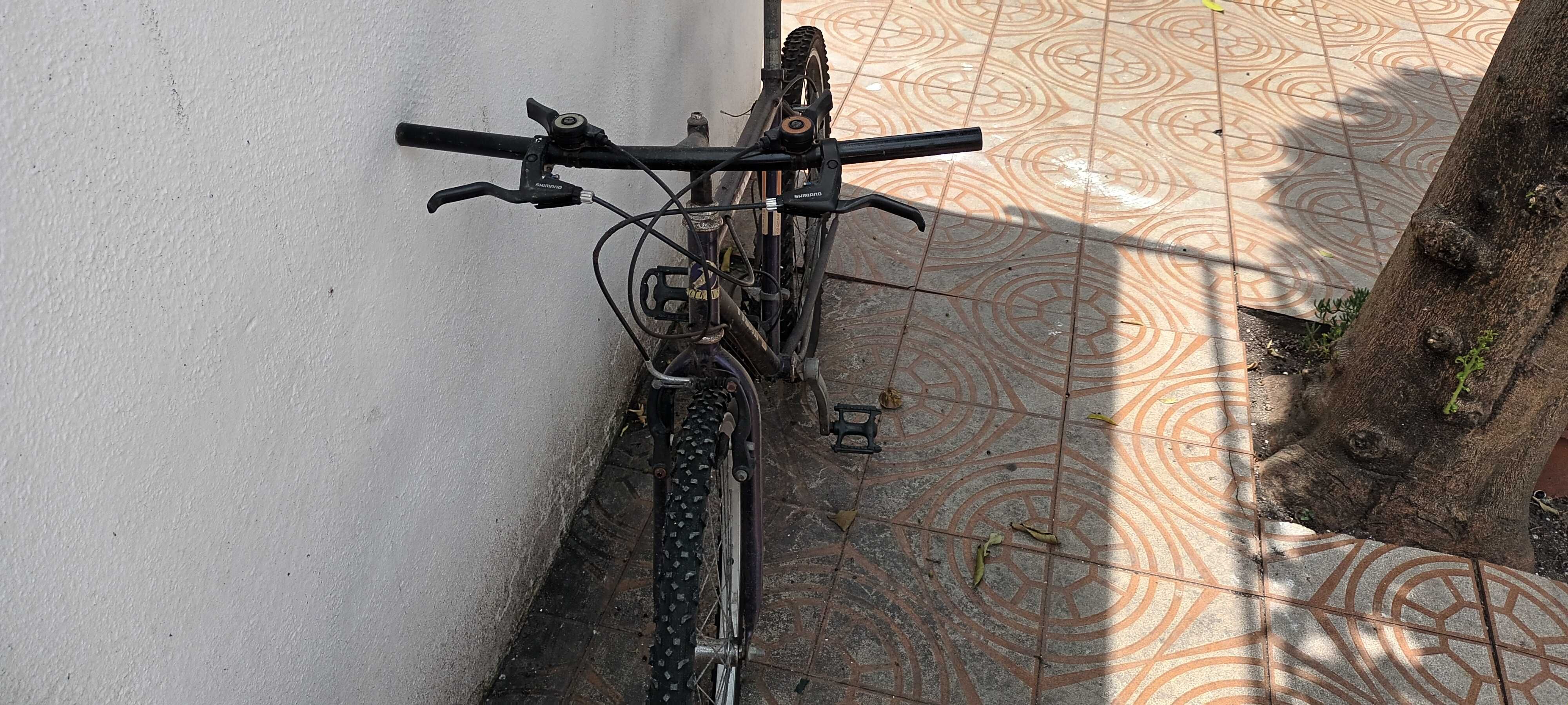 Bicicleta Vilar Roxa