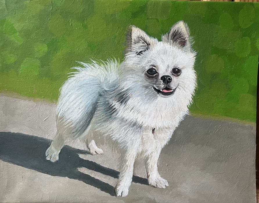 Картини - портрети,, тварини, олією