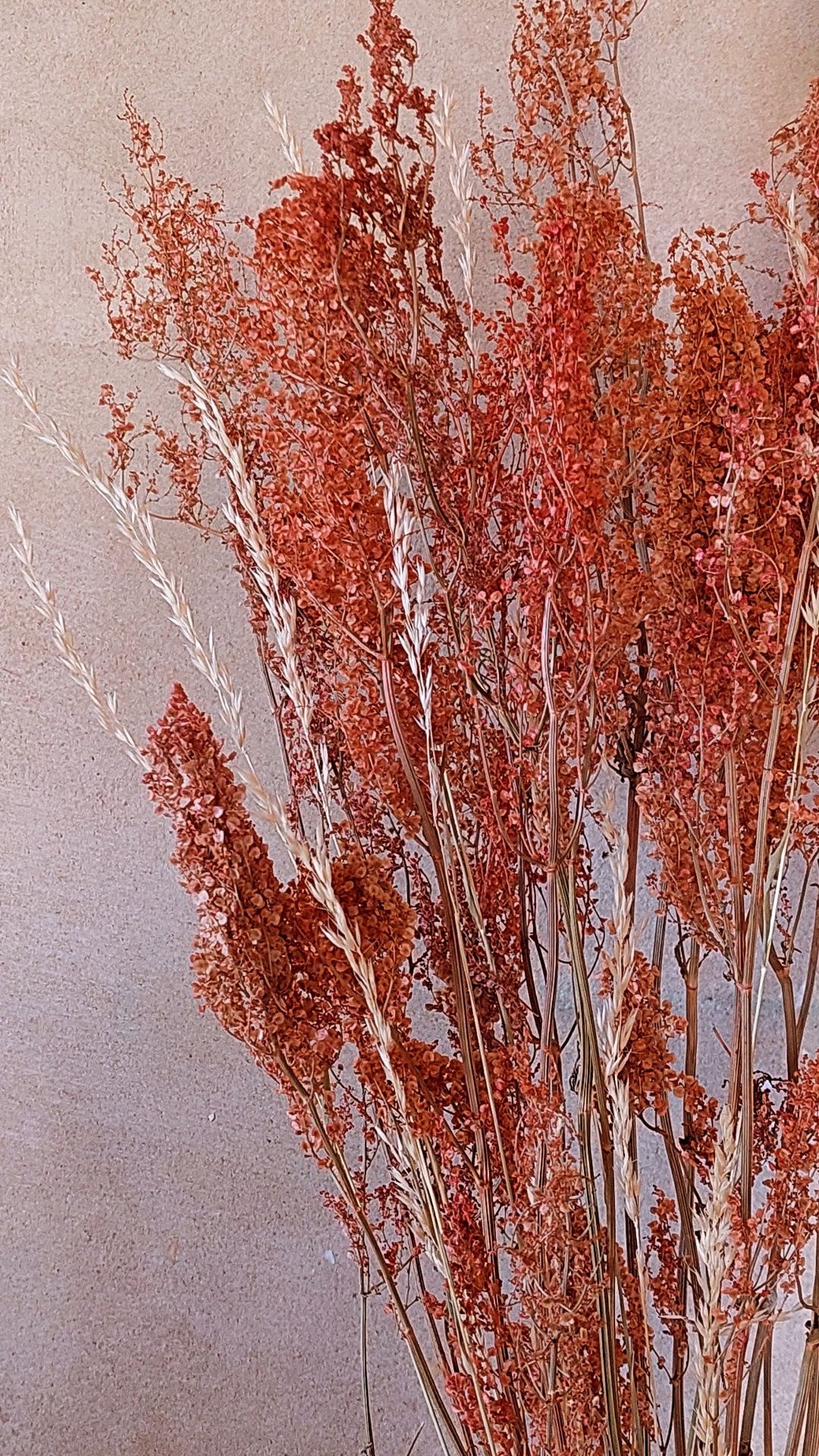Сухоцвіт декор трава букет фотозона