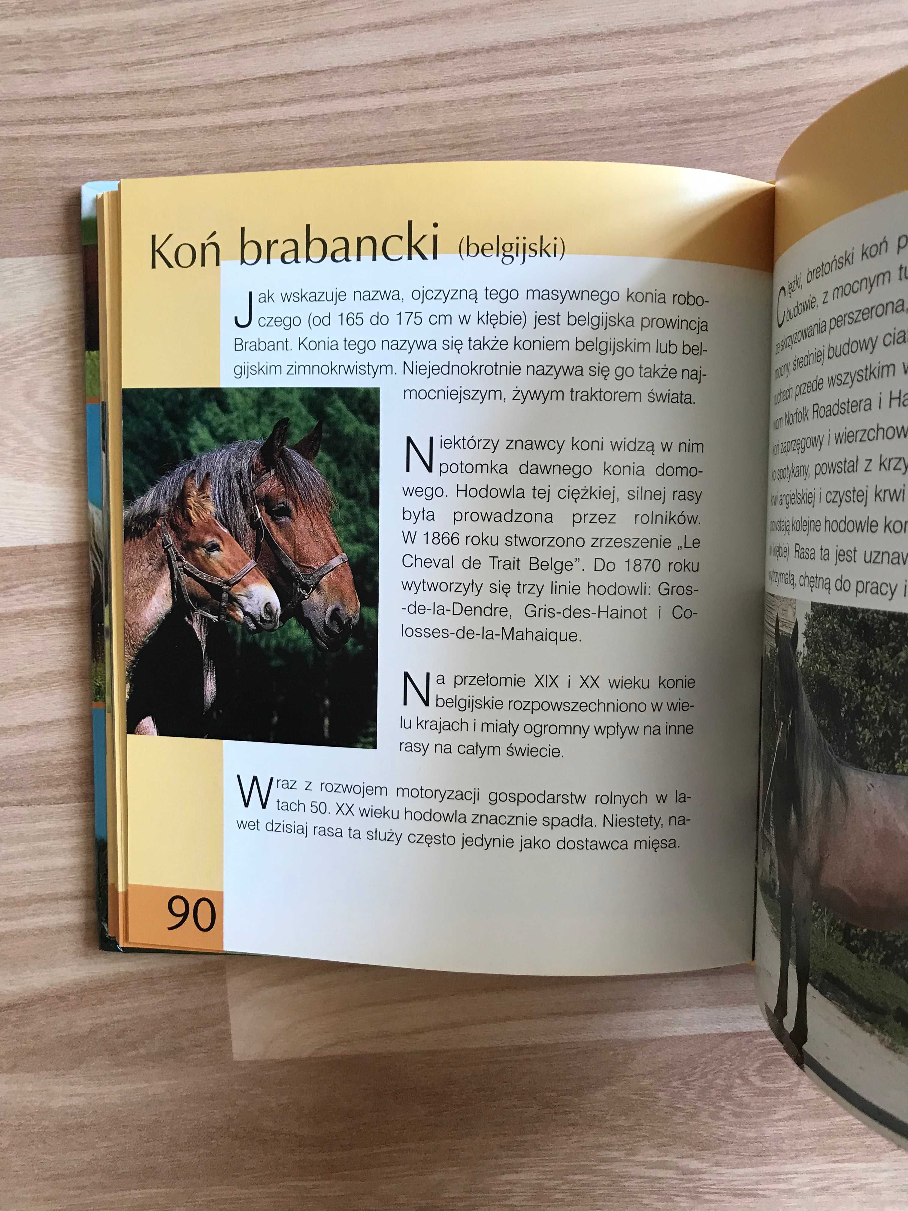Konie książka o koniach Rasy koni choroby nauka jazdy konnej