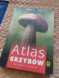 Książka "Atlas grzybów"