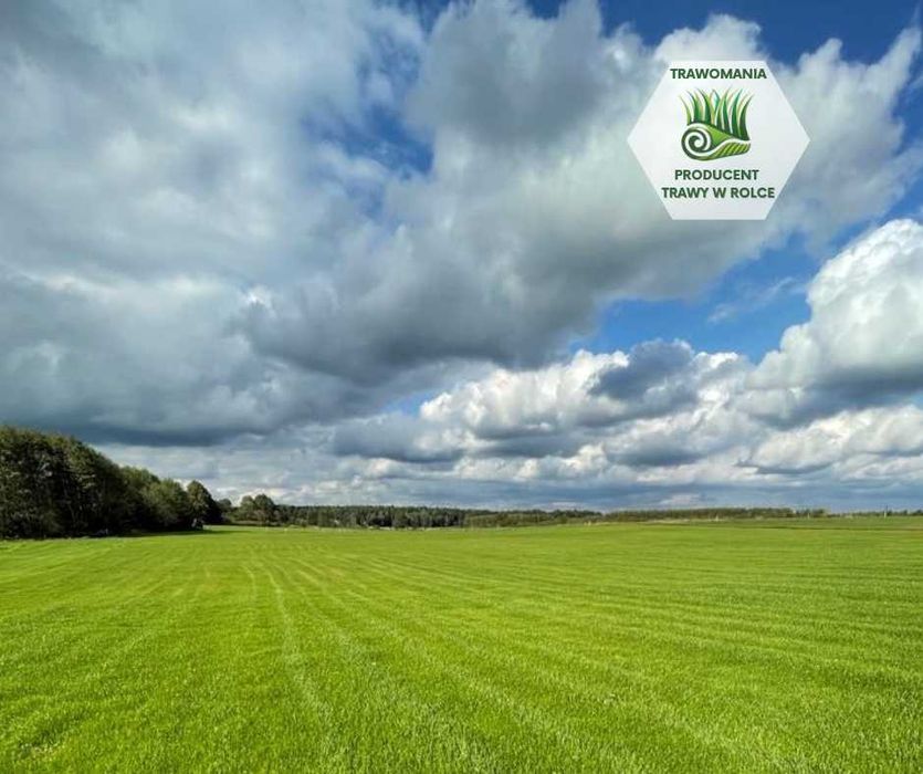 *** TRAWOMANIA - najlepsza trawa z rolki na Śląsku ***