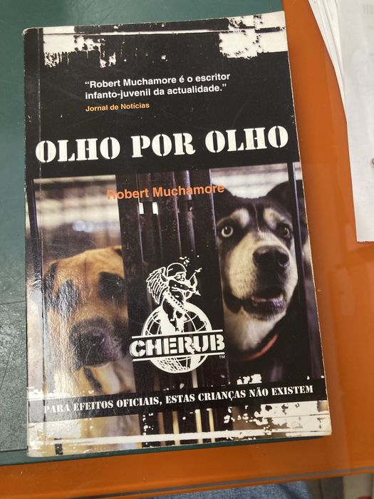 Livros O Recruta de Robert Muchamore