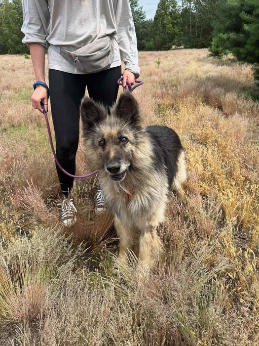 Najbiedniejszy z biednych ,cichutko prosi o dom.
