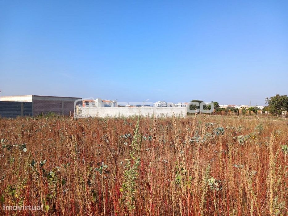 Terreno Urbano c/ 855m2 – Glória e Vera Cruz