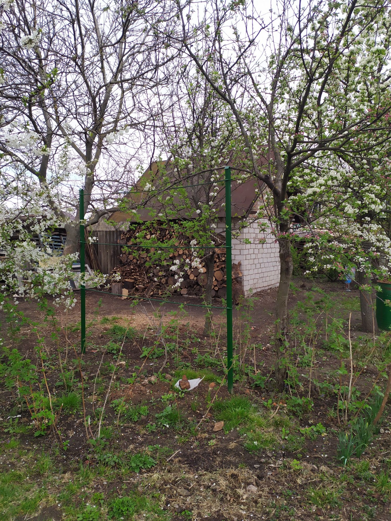 Будинок в центрі