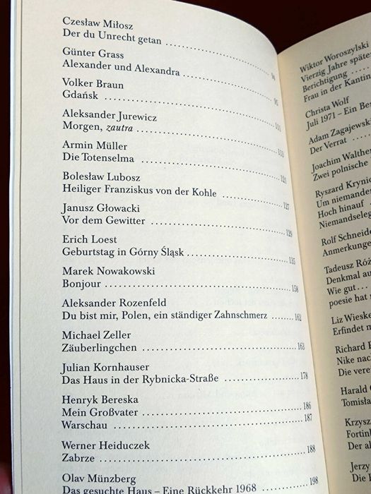 Nach den Gewittern - Ein Polnisch-Deutsches Lesebuch