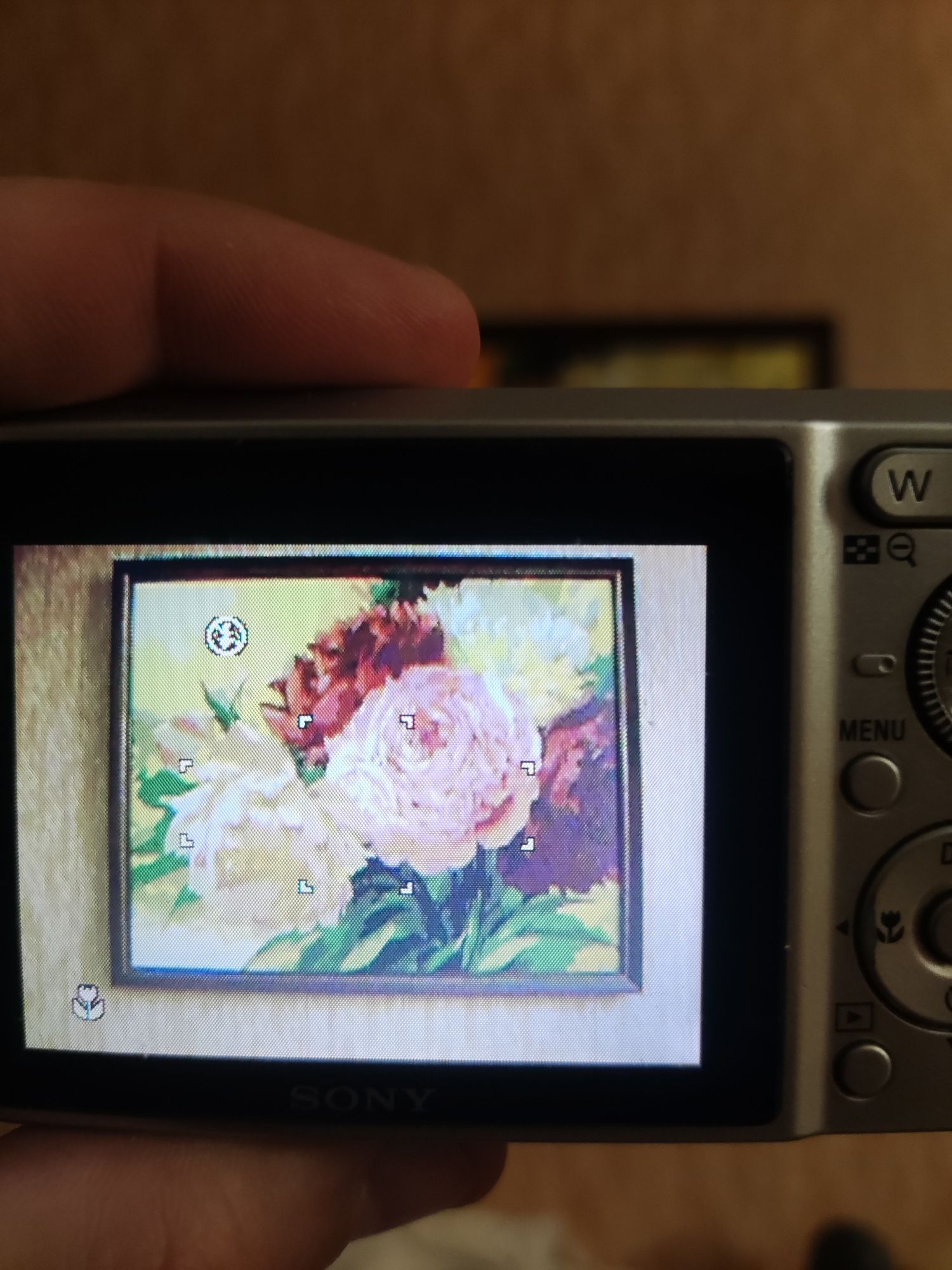 Фотоаппарат Sony DSC-S750