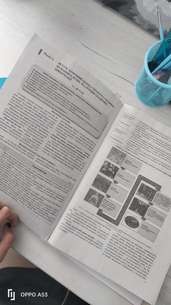 Підготовка до ЗНО\НМТ Біологія 2025р.