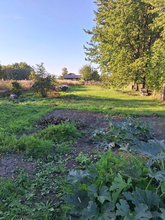 Działka budowlana na Podhuciu, gm. Tarnawatka