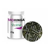 Moringa Shrimp Nature