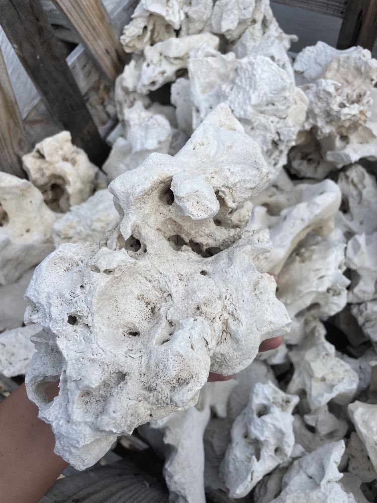 BIAŁY WAPIEŃ FILIPIŃSKI Biały Kamień do Akwarium Filipino Malawi Skała