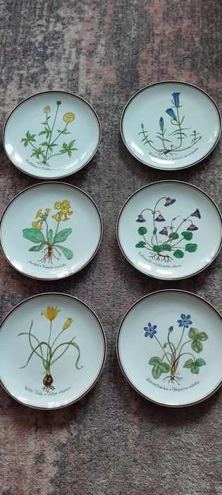 Rosenthal " Z miłości do natury" 12 talerzy