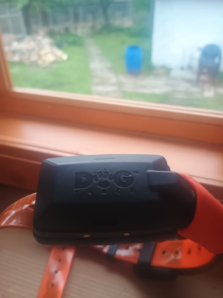 Dogtrace X30 z obrożami