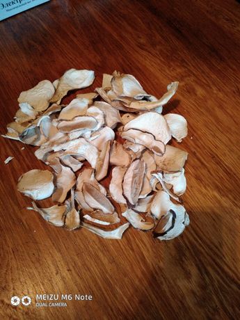 Білі сушені гриби Закарпаття (Свалявщина)