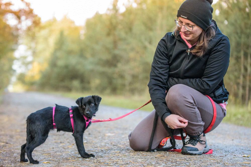 Maybe: psia dziecinka marznie w schronisku