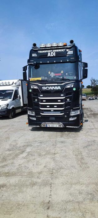 SCANIA S580V8 AUTOMAT  Naczepa Pezzaioli 3pokłady do Żywca, Zwierząt