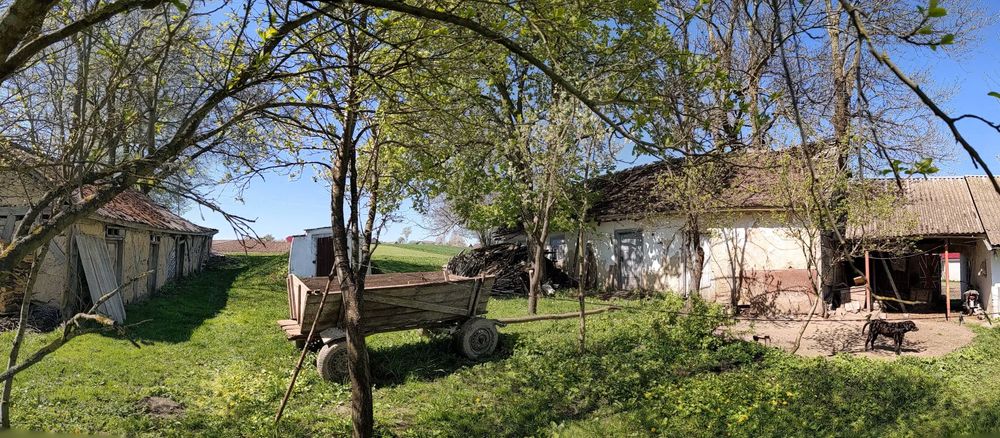 Будинок, присадибна ділянка та город