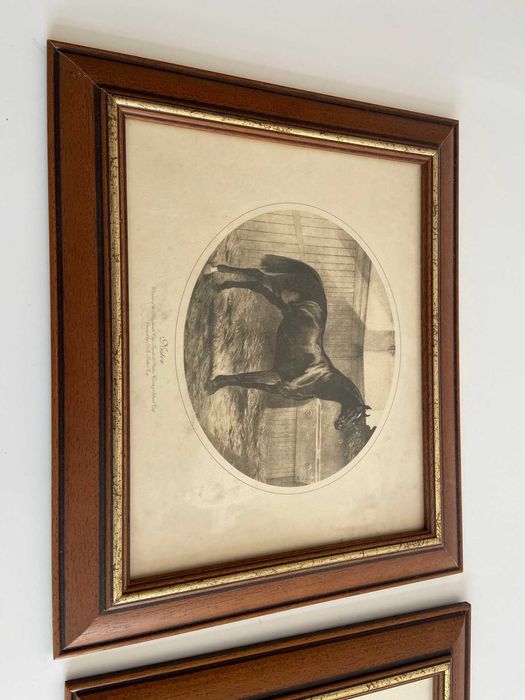 2 Molduras com serigrafia de cavalos
