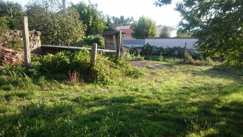 Moradia para reconstrução e Quinta com barracão, canastro e poço.