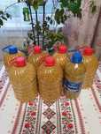 Продам бджолопродукти
