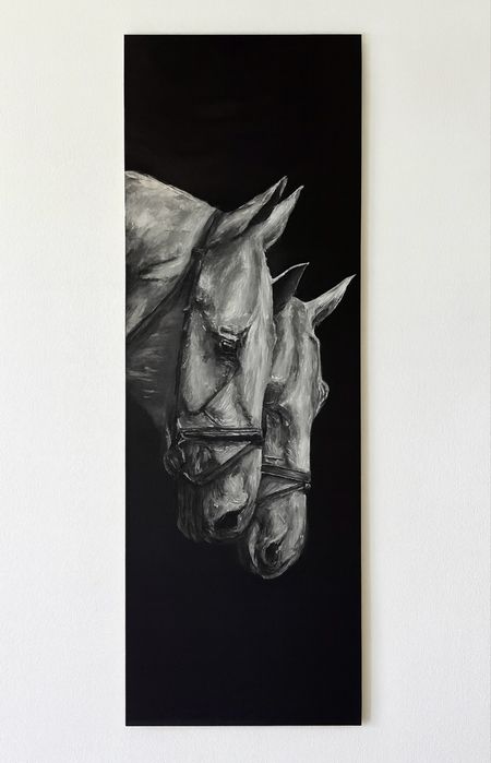 Obraz konie koń biało czarny