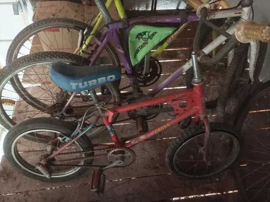 Conjunto de 3 Bicicletas
