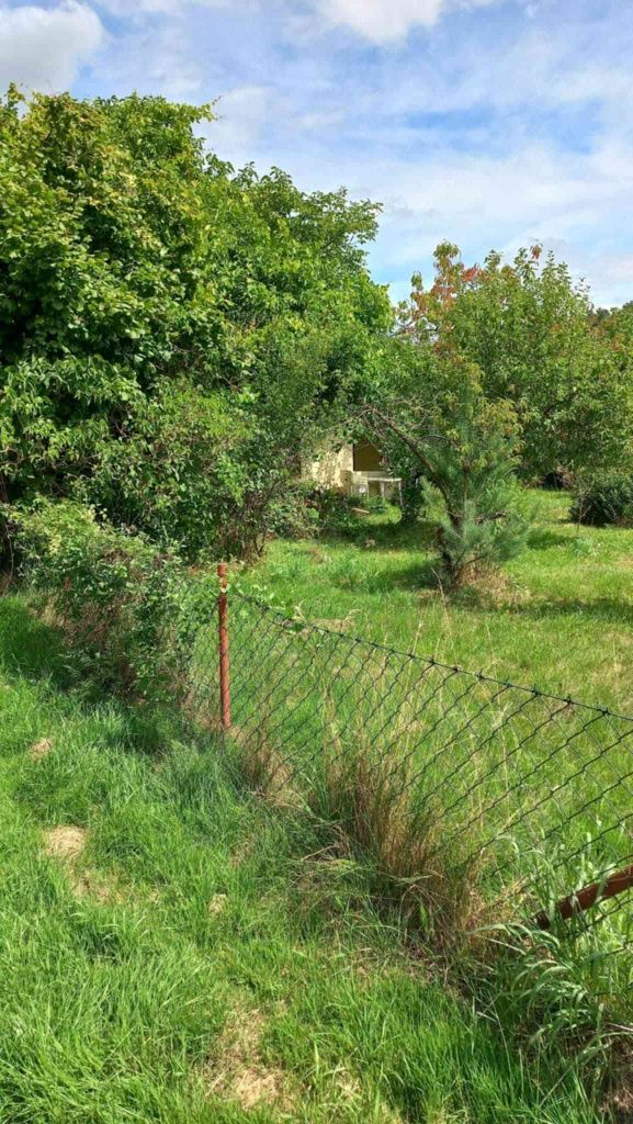 Działka ROD Jędrzychów z altaną