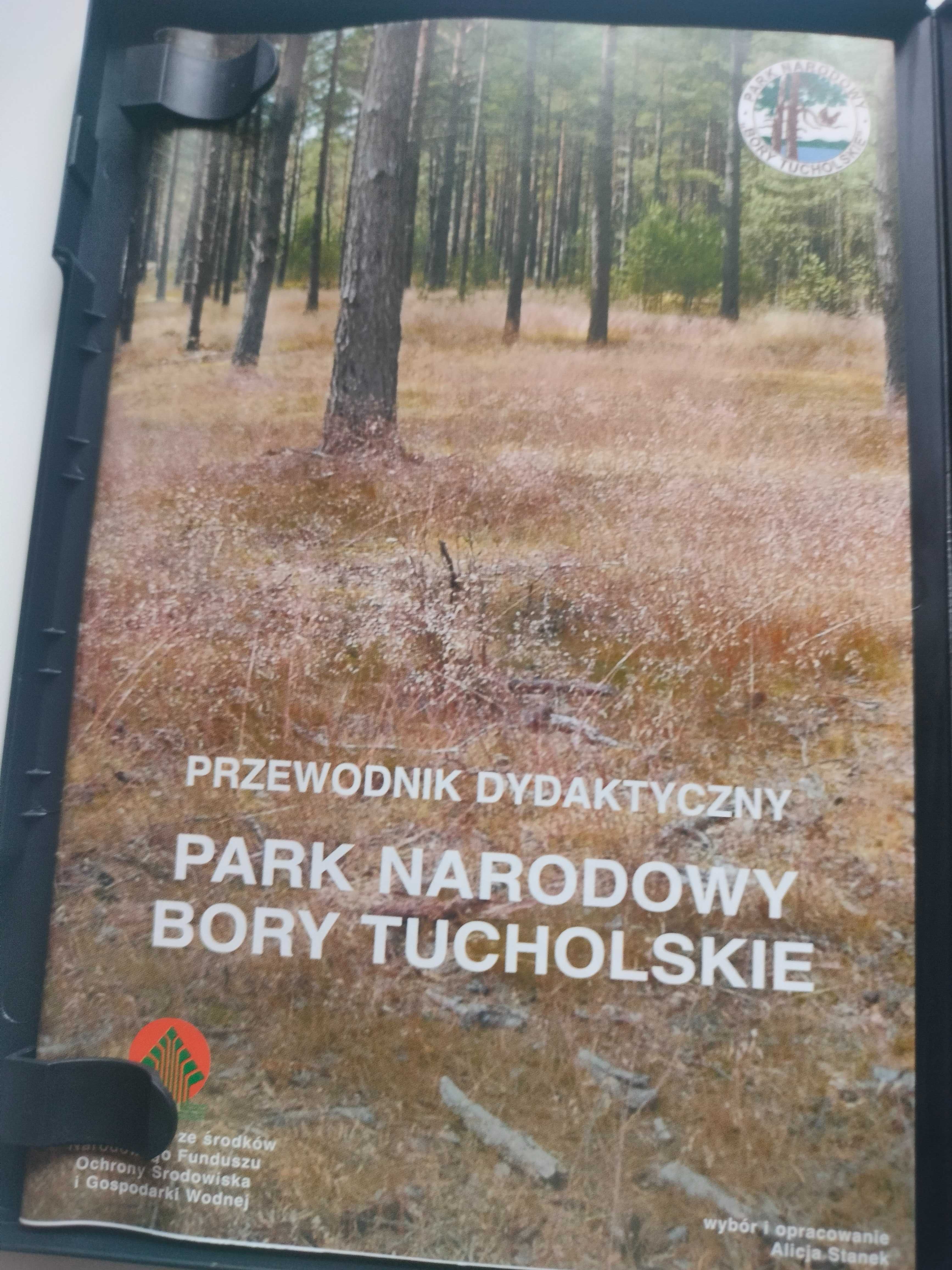Film dokumentalny Bory Tucholskie