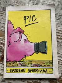 Pic - Zdzisław Smektała