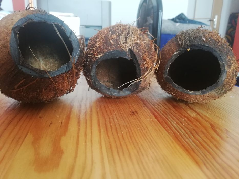 Kokos skorupa do akwarium