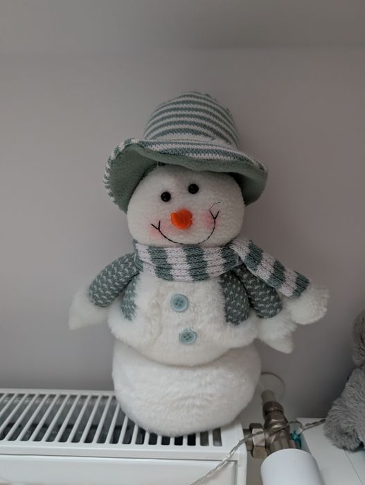 Bałwanek  dla Brunusia