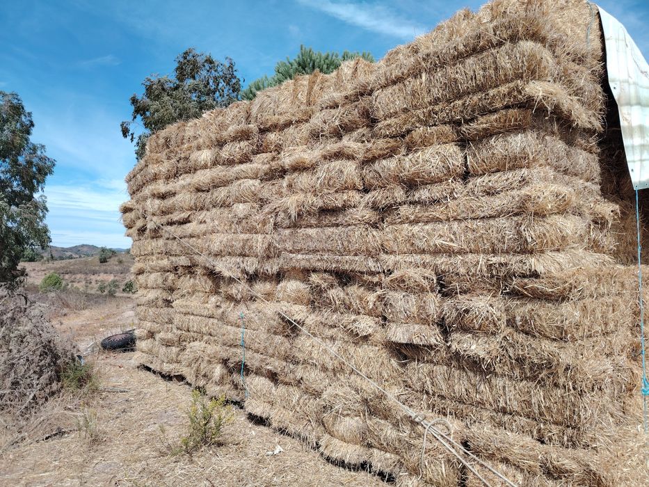 Fardos de Aveia e Trigo