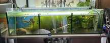 Aquario com divisorias 100x25x30
