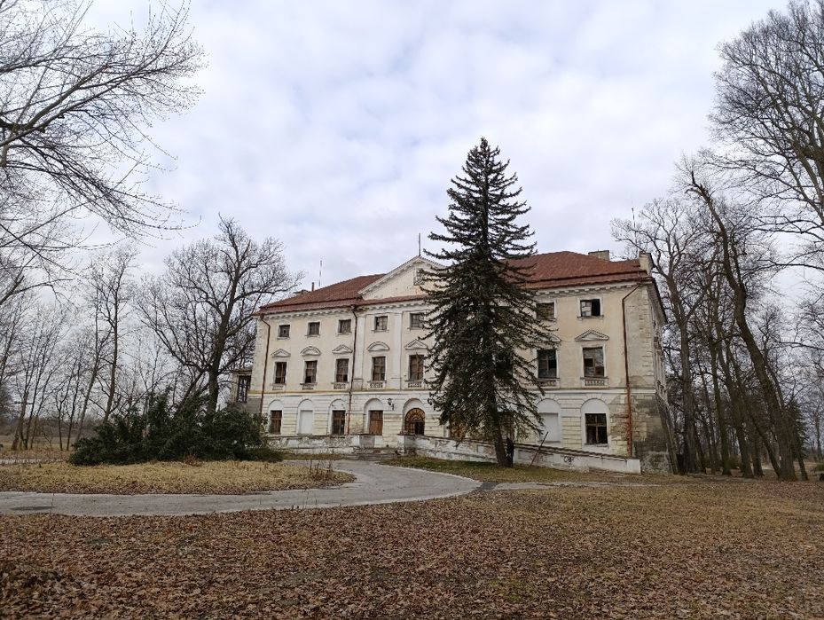 Za darmo wycinka usuwanie drzew