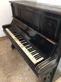 Piano Schwechten 1853