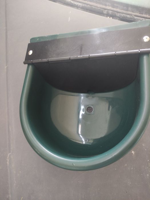 Bebedouro automático  animais