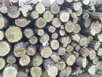 Продам дрова породы акацыя
