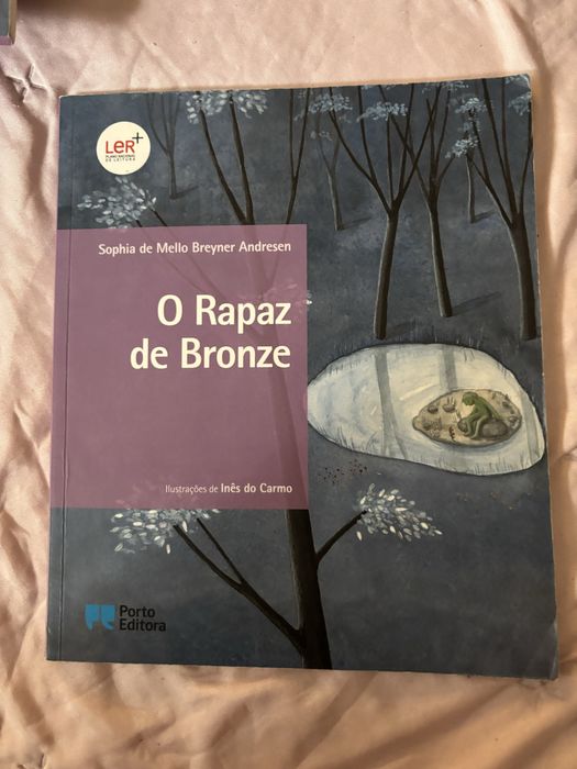 O Rapaz de Bronze livro
