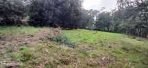 Terreno Rustico para Venda - Carvalhal - Barcelos