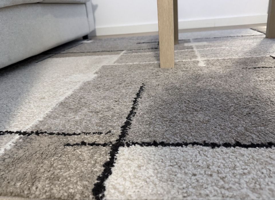 VENDO SOFA + Tapete + mesa de centro