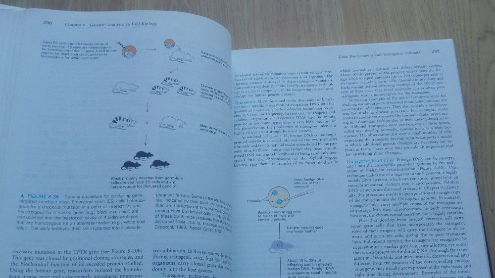 Livro "Molecular Cell Biology"