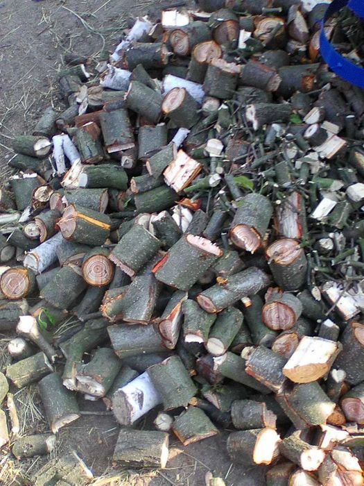 Mechanizm RĘBAKA do 9cm- rozdrabniacz walcowy W100 rebak rembak R2-150
