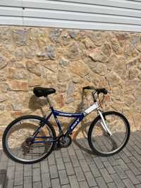 Bicicleta EMT pro-xr500