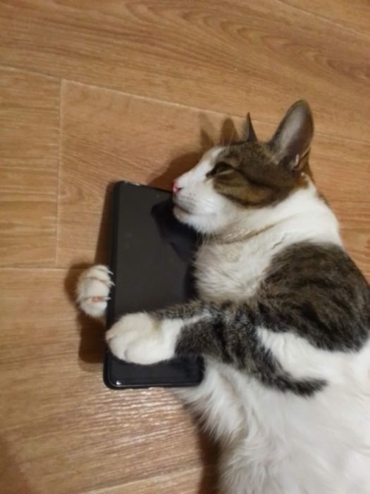 Масаж для тебе, висока якість, низькі ціни