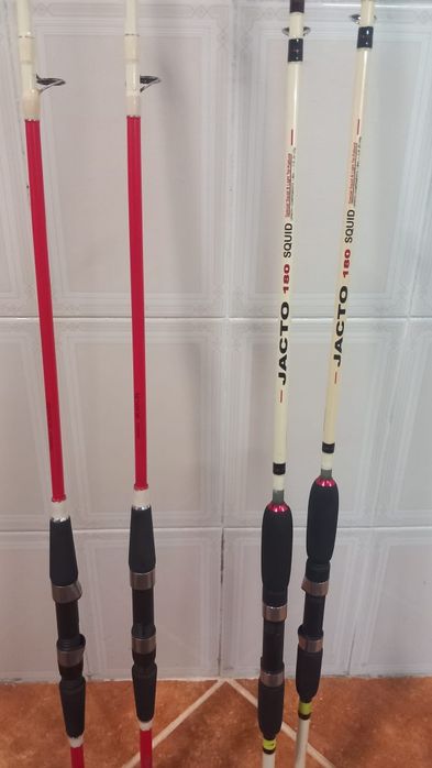 Canas pesca ao choco