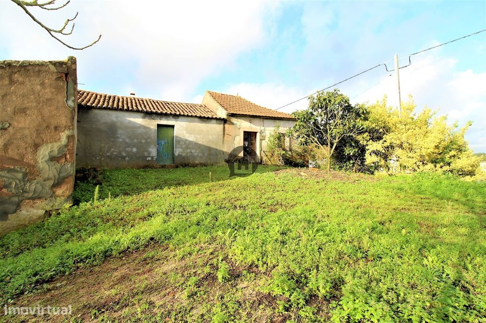 Moradias E Adega A 20 Minutos De Caldas Da Rainha