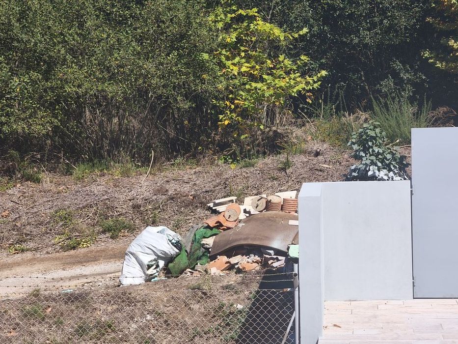 Cargas de Entulho, Terra, Madeira, Pladur, Limpeza de jardins, Pintura