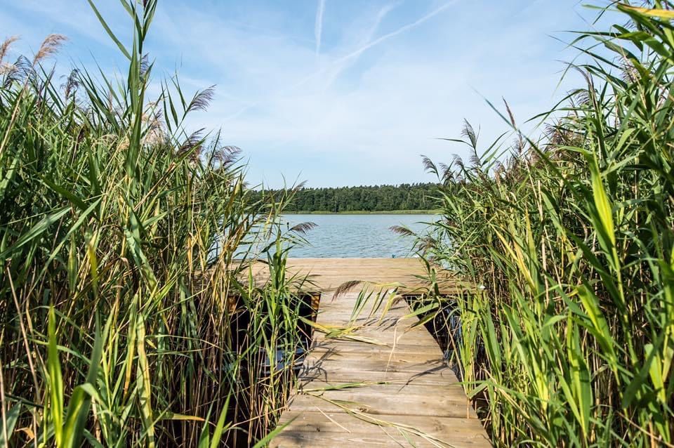 DOM z linią brzegową jeziora Agroturystyka Kominek Wypoczynek Poznań